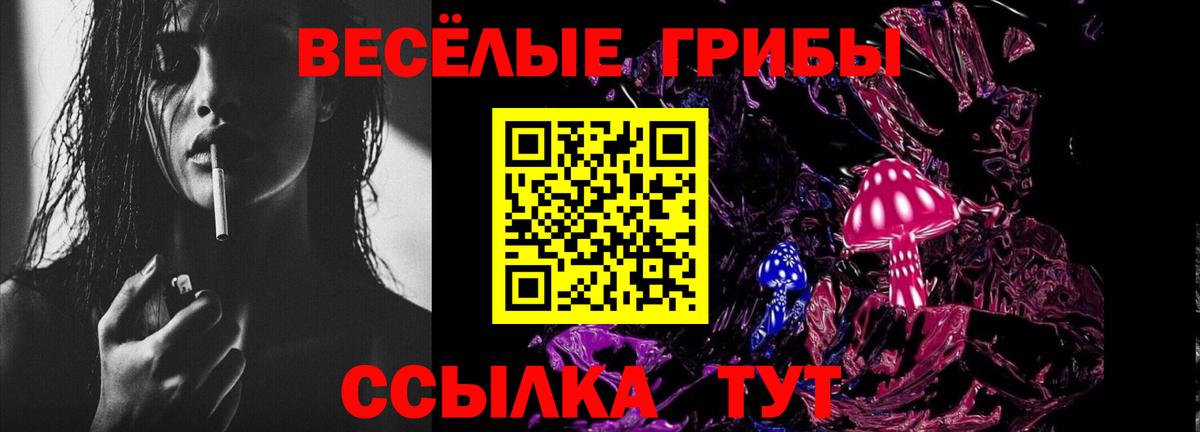 Псилоцибиновые грибы Cubensis  закладки  Миллерово  Вход с VPN  Галлюциногенные грибы MAGIC MUSHROOMS 
